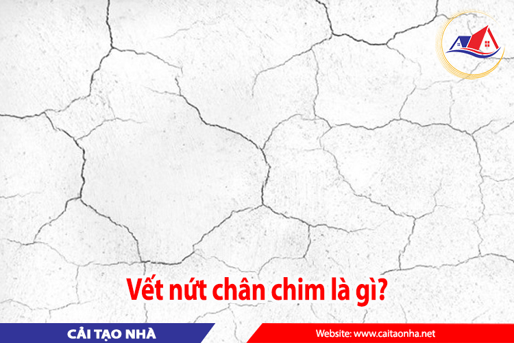 vết nứt chân chim là gì